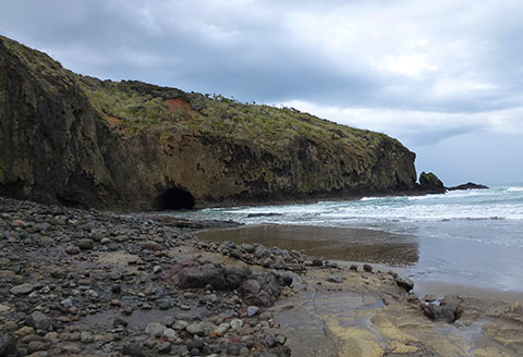Bethells Beach