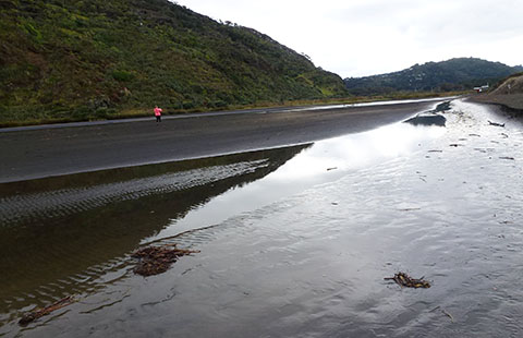 Bethells Beach river