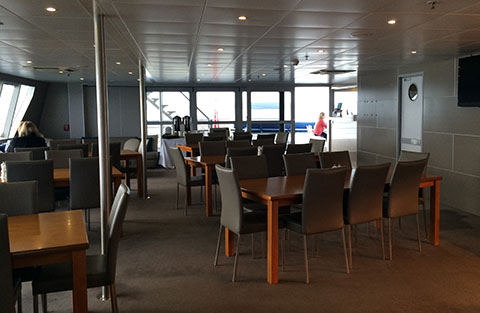 Auckland overnight cruise