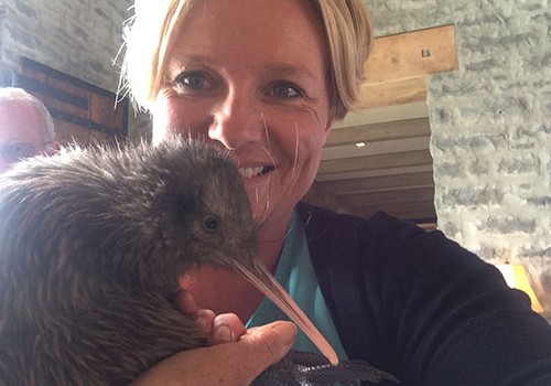 Cape Kidnappers kiwi