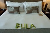 Bula Bed thumb