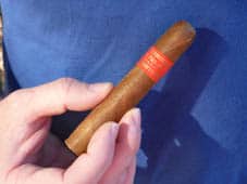 Cigar
