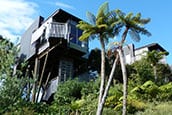 Hapuku lodge tree house