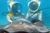 Helmet dive