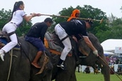 In-action-on-field