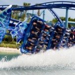 Top 5 must-do’s at Sea World Orlando