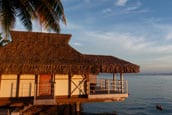 Moorea small