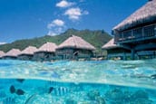 Moorea thumb