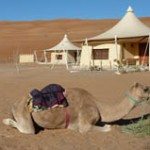 Top 5 destinations for lovin’
