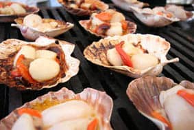 Scallops on BBQ