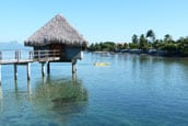 Tahiti small
