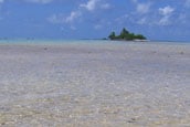 Tahitian motu sm
