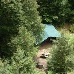Spend 3 days in a New Zealand rainforest!