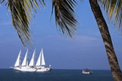 Windstar Cruises