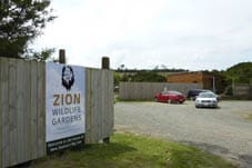 Zion 2