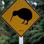 Stalking kiwis