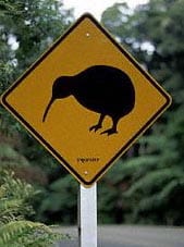 kiwi sign
