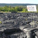 Top 5 things to do on Hawaii’s Big Island