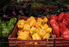 peppers