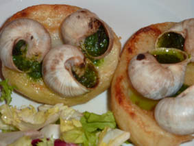 snails Mmmm snails anyone?