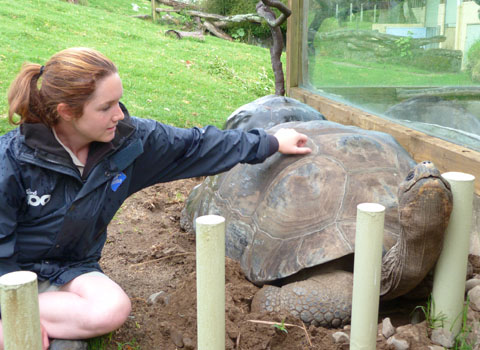 Auckland Zoo Galapagos