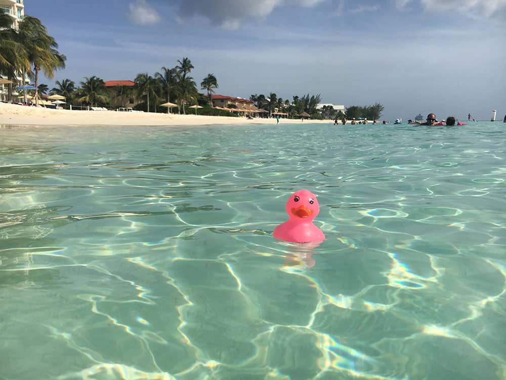 Rubber duck in sea at Cayman Islands