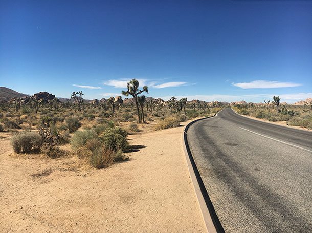 Joshua Tree national park