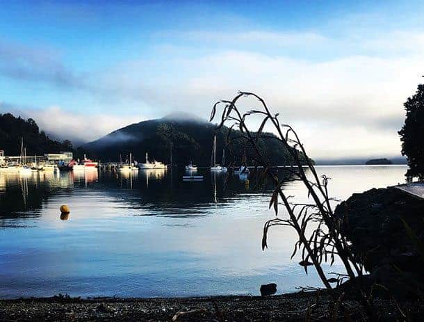 Picton Marlborough NZ