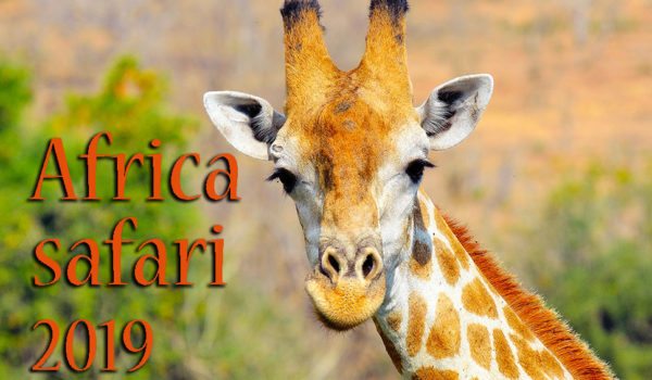 Africa safari tour
