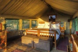 Safari tents at Moremi