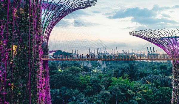 Best of Singapore