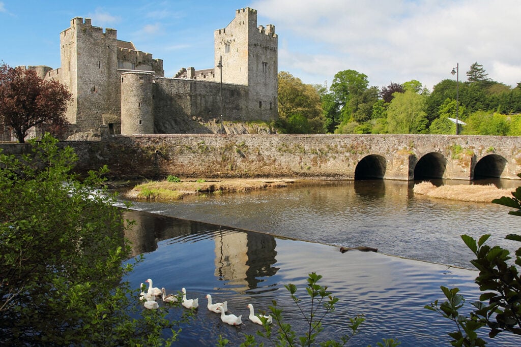Cahir Castle with geese on the river