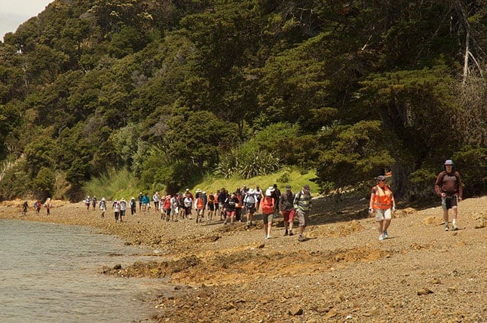 Waiheke Walking Festival