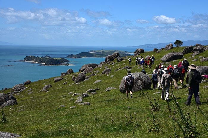 Waiheke Walking Festival