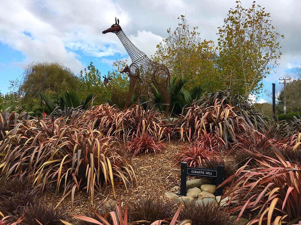 A garden giraffe at the Sculptureum Matakana