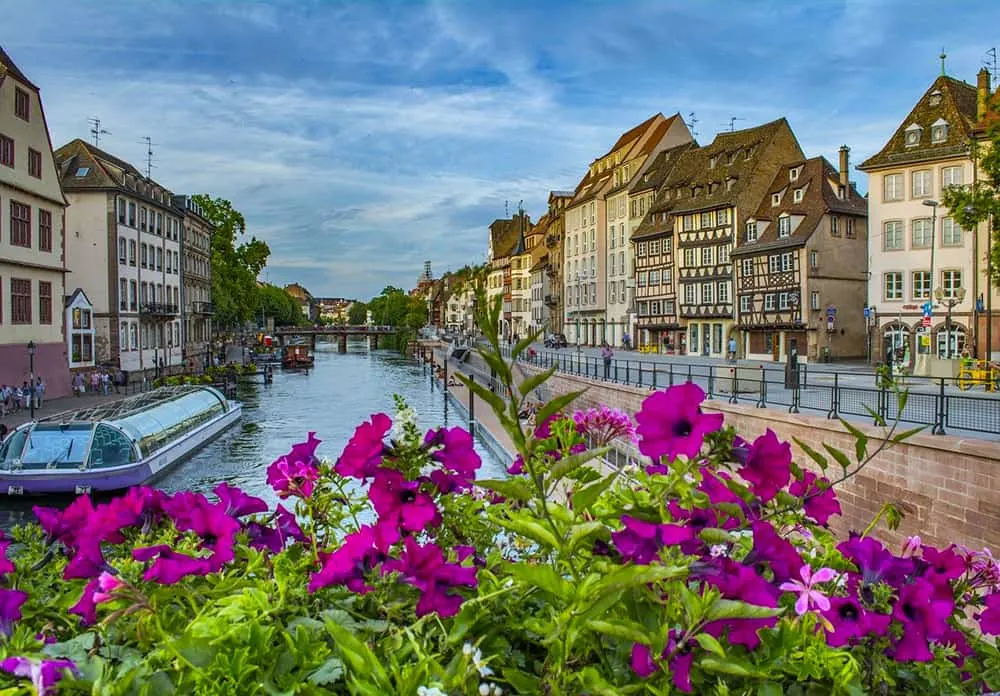 River Ill with boat tours, a bridge, and old buildings on the side with people walking. Magenta flowers in foreground.