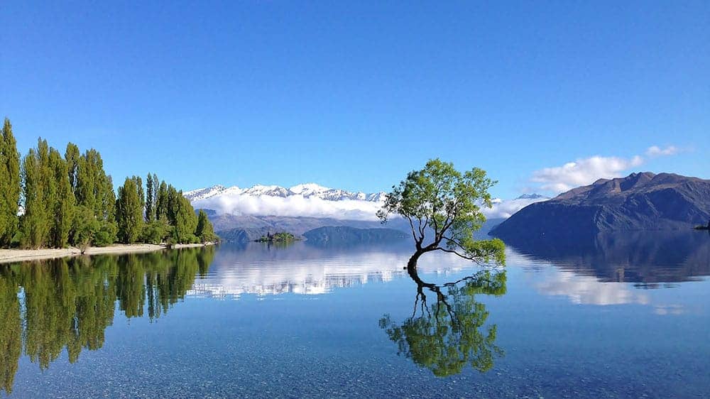 Wanaka lake