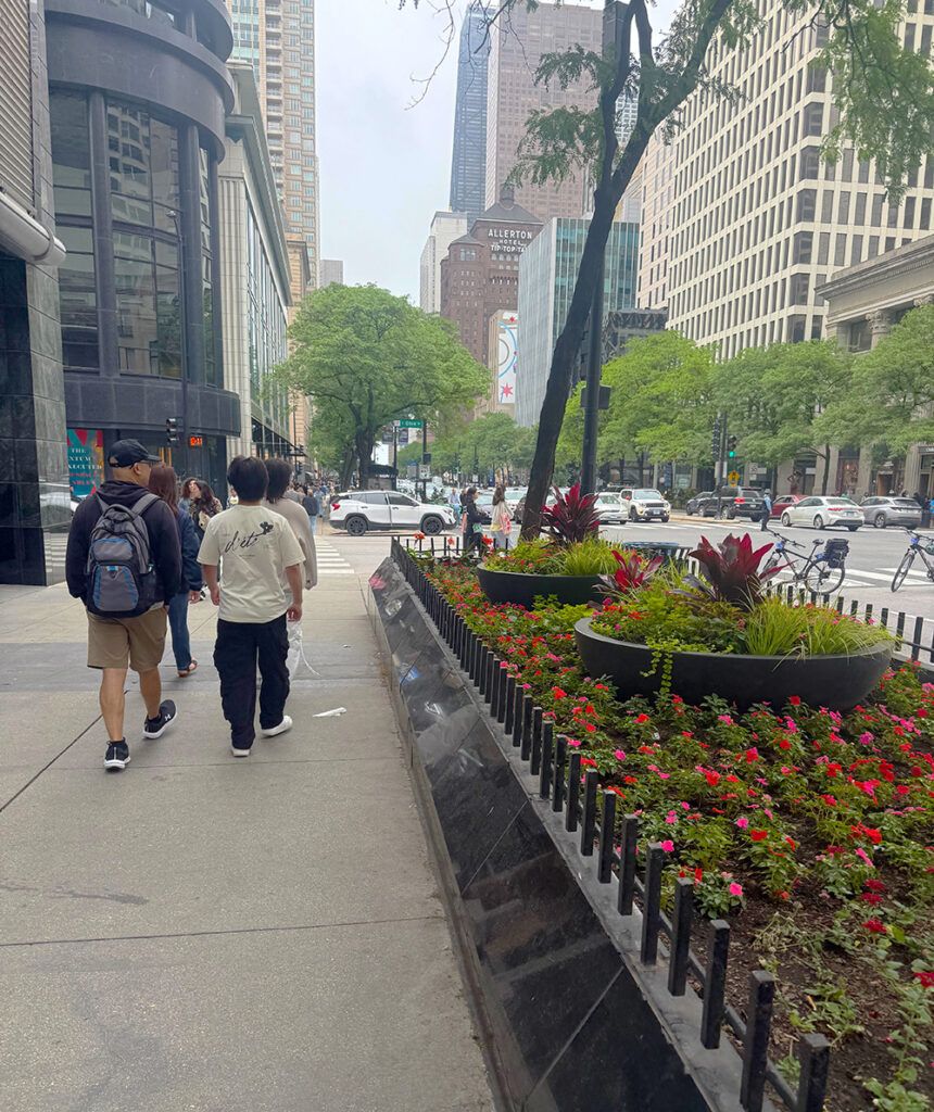Flowers and trees on Michigan Avenue, Chicago