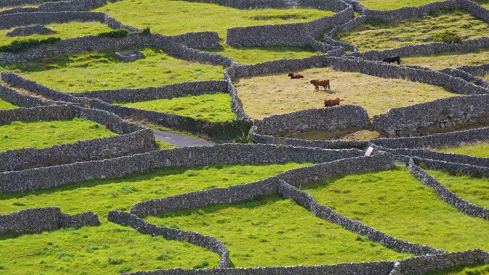 Stone walls in Ireland