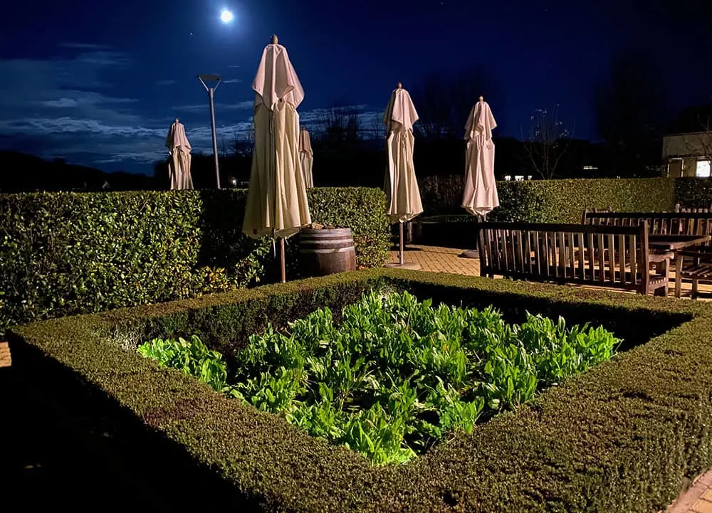 The Craggy Range salad garden under the moonlight