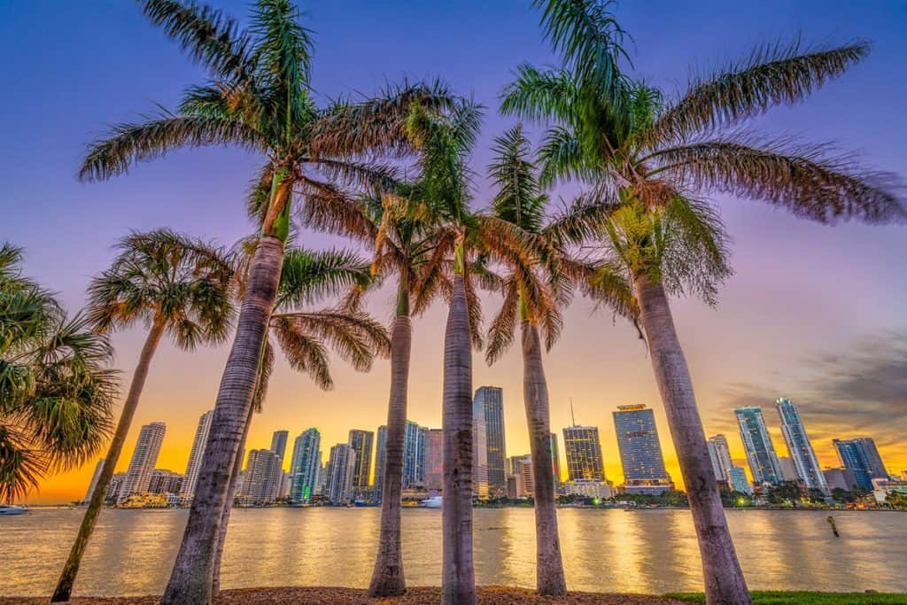 Biscayne Bay, Miami at sunset