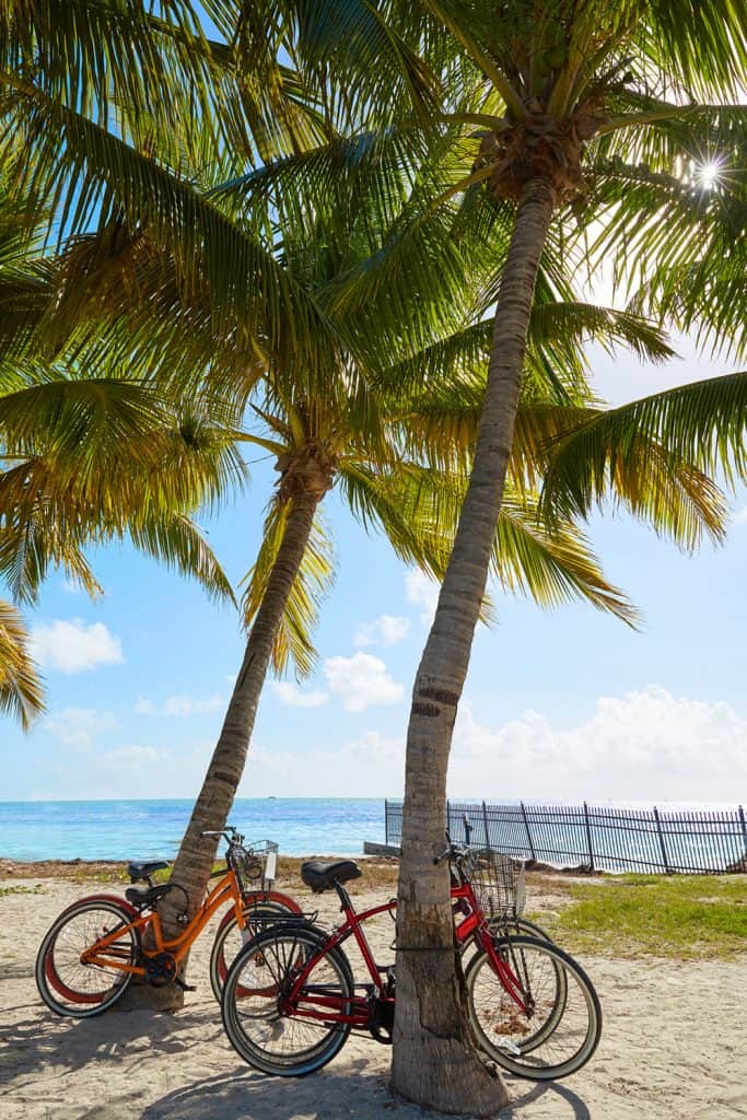 Higgs Beach, Key West