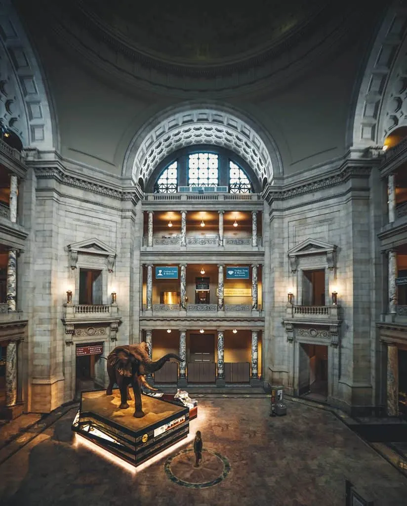 Inside the Natural History Museum