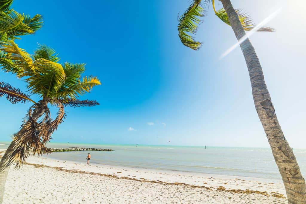 Smathers Beach and palm trees