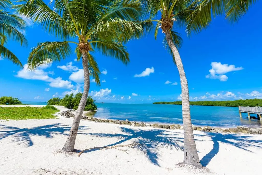 Beautiful Sombrero Beach and palm trees