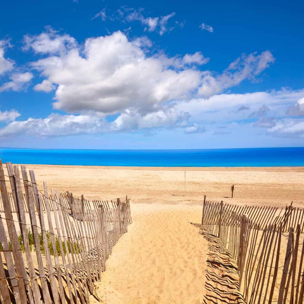 Sandy Neck Beach in Barnstable