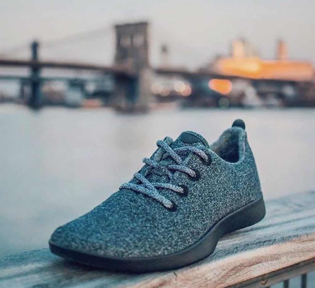 classic wool Allbirds shoe