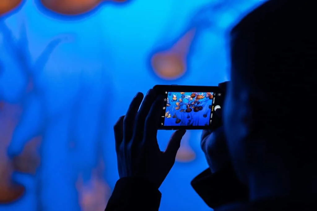 Taking photos at Monterey Aquarium