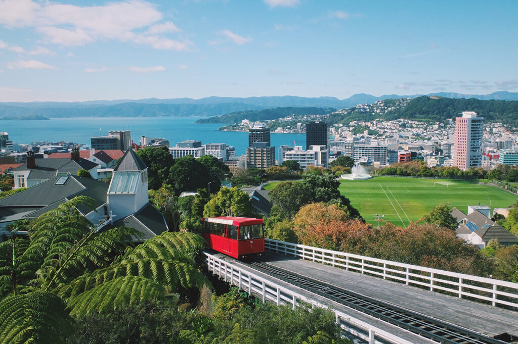 Views over Wellington