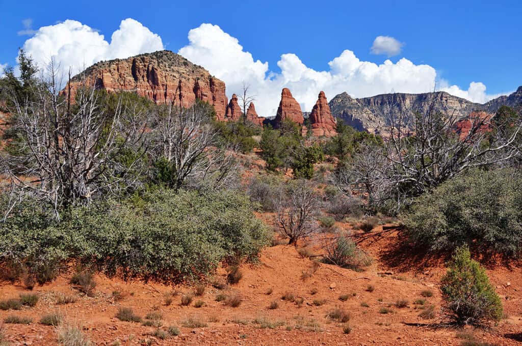 Stunning Sedona landscape